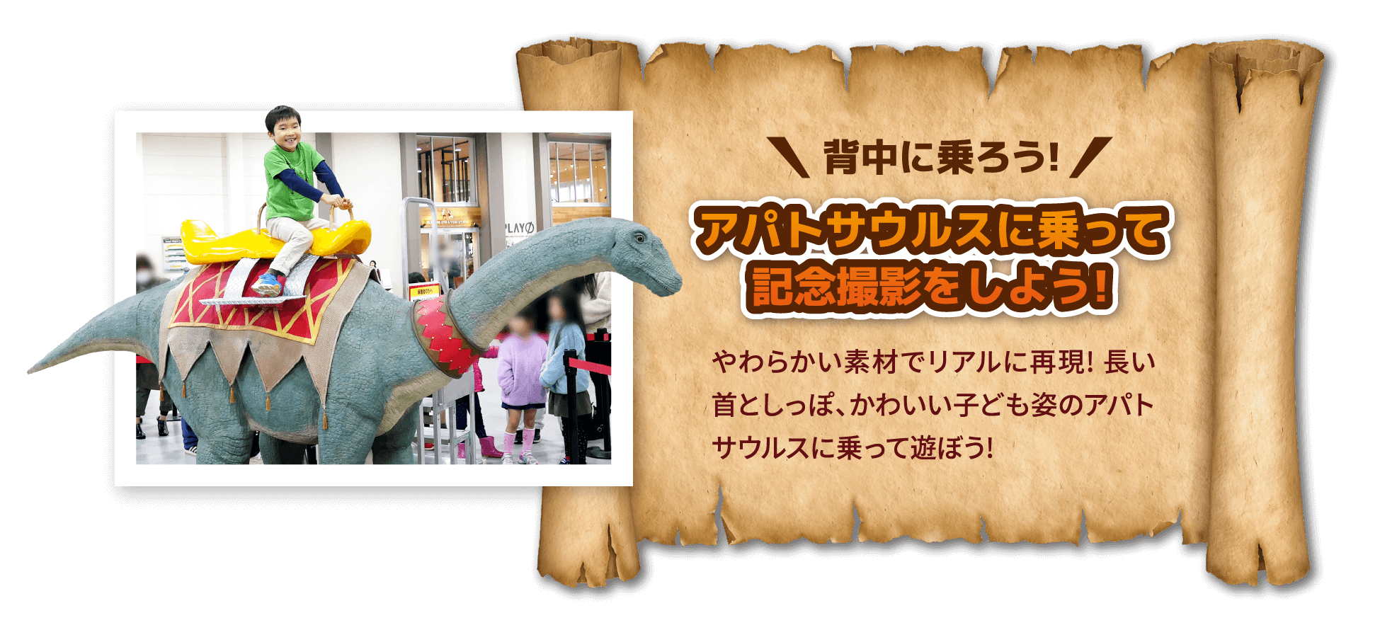 背中に乗ろう!　アパトサウルスに乗って記念撮影をしよう! やわらかい素材でリアルに再現！長い首としっぽ、かわいい子ども姿のアパトサウルスに乗って遊ぼう！