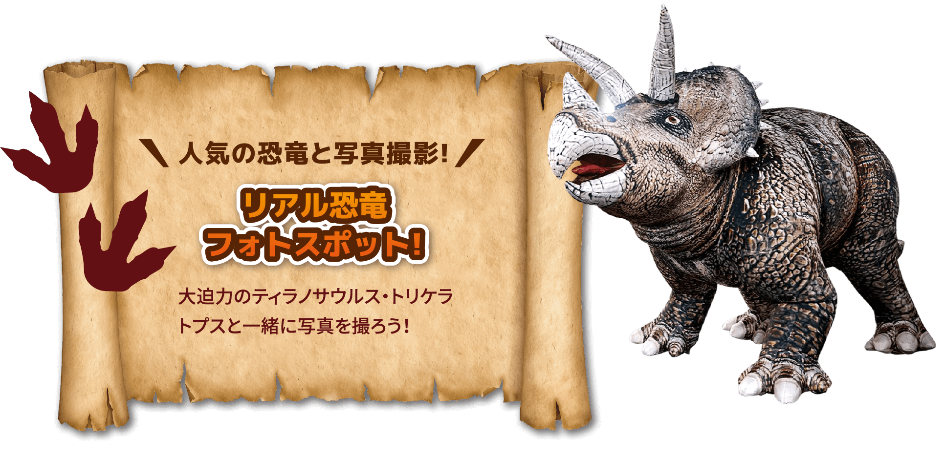 人気の恐竜と写真撮影！ リアル恐竜フォトスポット! 大迫力のティラノサウルス・トリケラトプスと一緒に写真を撮ろう!